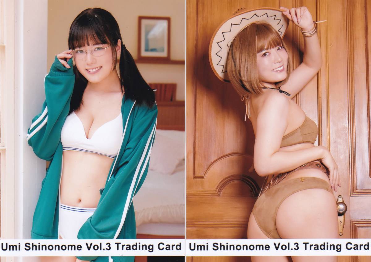 東雲うみ トレカ Vol.3 ボックス購入特典 写真 フルコンプ 10種セット-