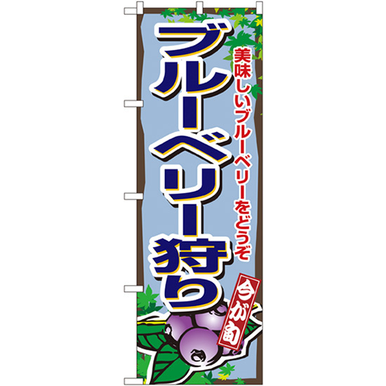 のぼり旗 3枚セット ブルーベリー狩り No.1380