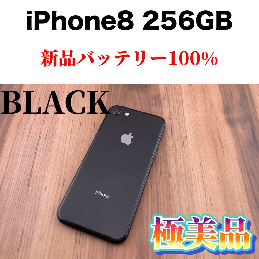 77iPhone 8 Space Gray 256 GB SIMフリー本体-