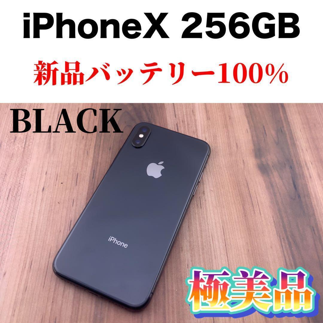99iPhone X Space Gray 256 GB SIMフリー本体