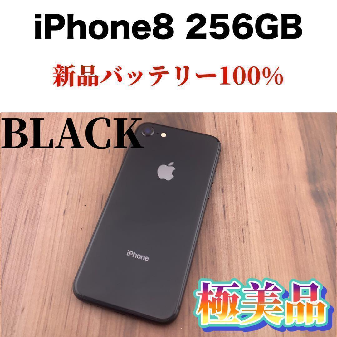 ずっと気になってた 97iPhone 8 Space Gray 256GB SIMフリー本体