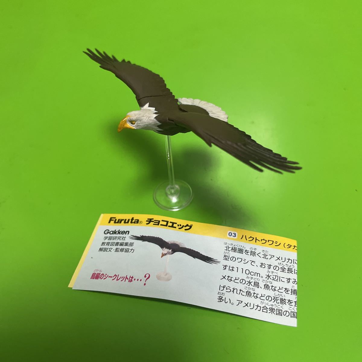 Furuta チョコエッグ 動物シリーズ 鳥編 □ ハクトウワシ【定形 Furuta チョコエッグ 動物シリーズ 鳥編 □ ハクトウワシ【定形