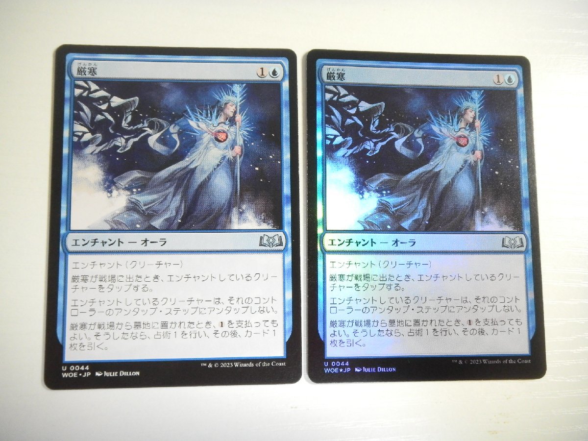 D436【MTG】厳寒 Foil 非Foil 2枚セット エルドレインの森_画像1