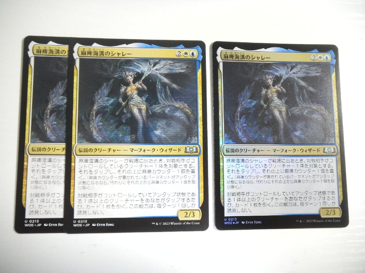 D427【MTG】麻痺海溝のシャレー Foil ×1 非Foil ×2 3枚セット エルドレインの森_画像1