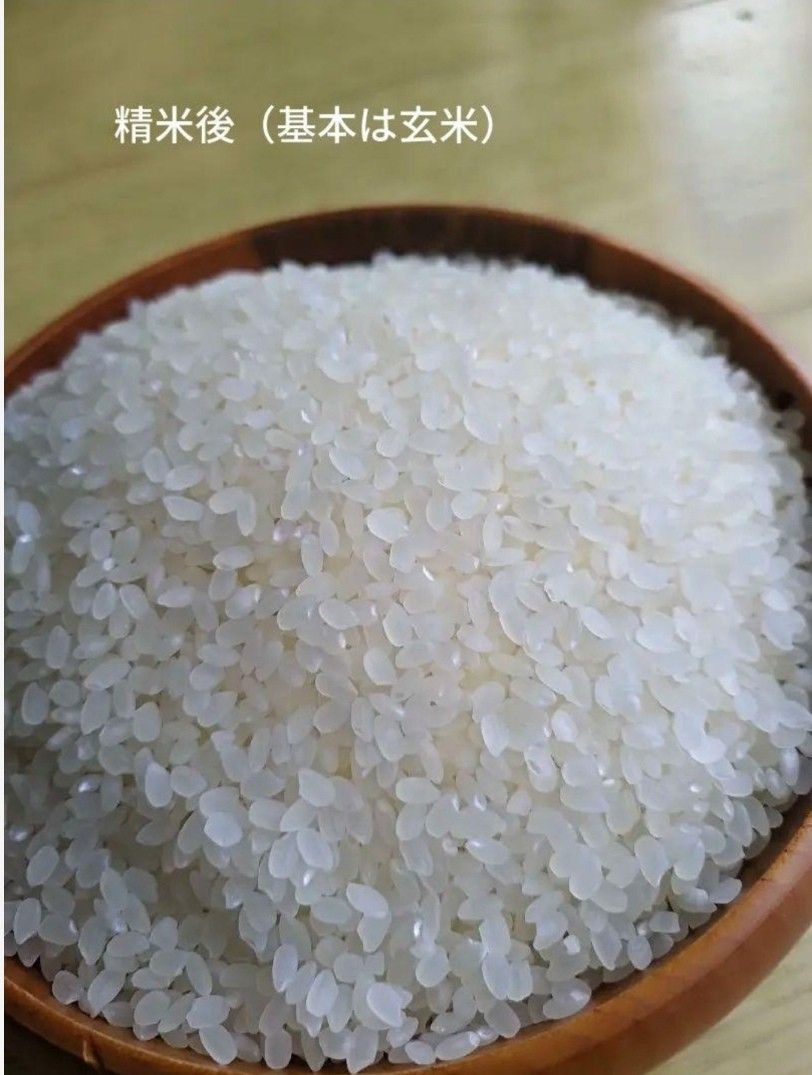 奥能登産 令和5年 新米コシヒカリ 一等米 玄米20kg 数量限定|PayPayフリマ