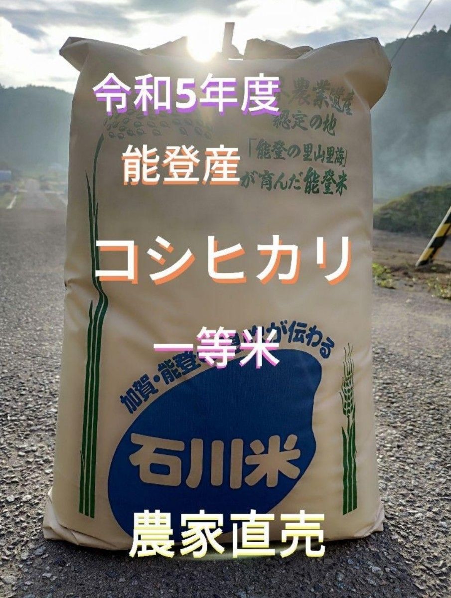 奥能登産 令和5年 新米コシヒカリ 一等米 玄米20kg 数量限定|PayPayフリマ