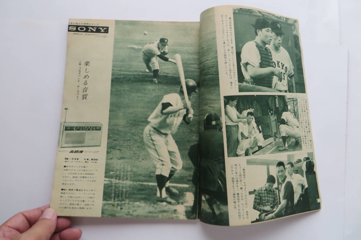 3311 週刊ベースボール 1962年 昭和37年9月10日号　折れ破れ等傷み有 最終出品_画像5