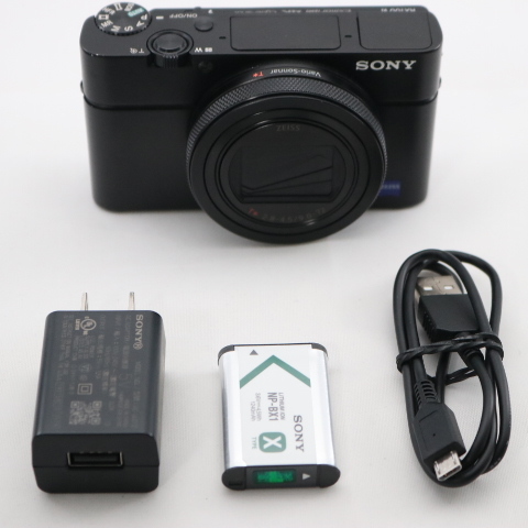 新発売】 ソニー コンパクトデジタルカメラ DSC-RX100M6 Cyber-shot