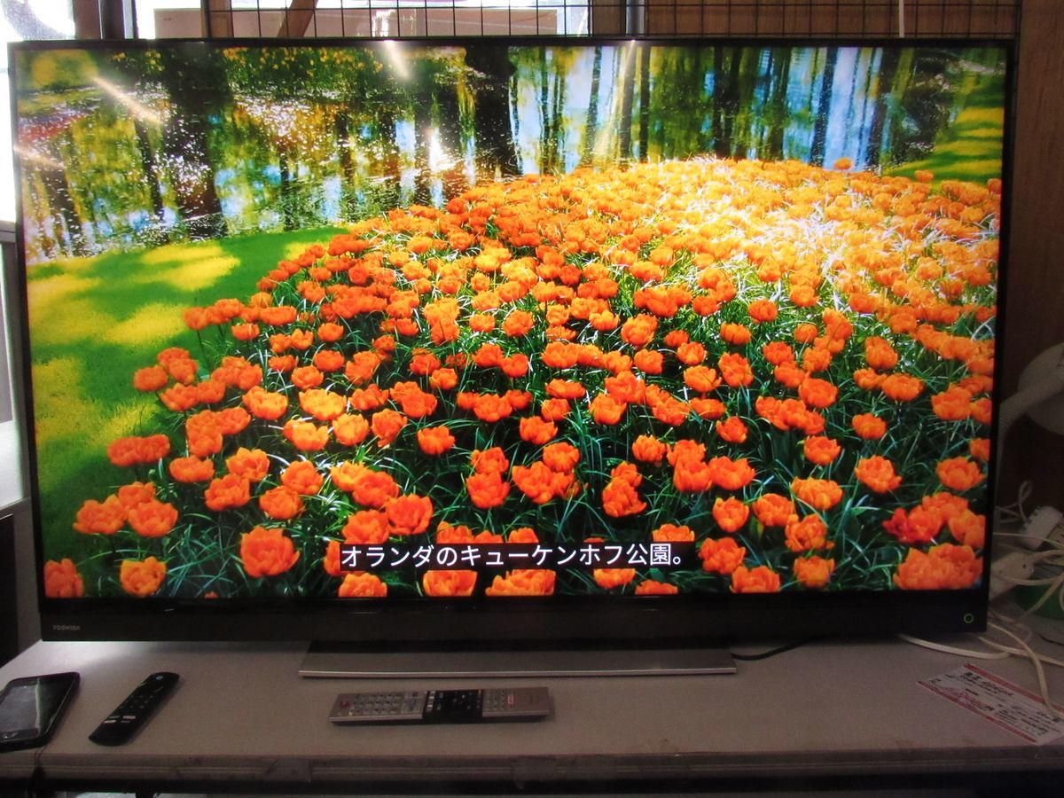 品揃え豊富で 50V型 SHARP 液晶 4K 4T-C50CL1 AQUOS テレビ 液晶