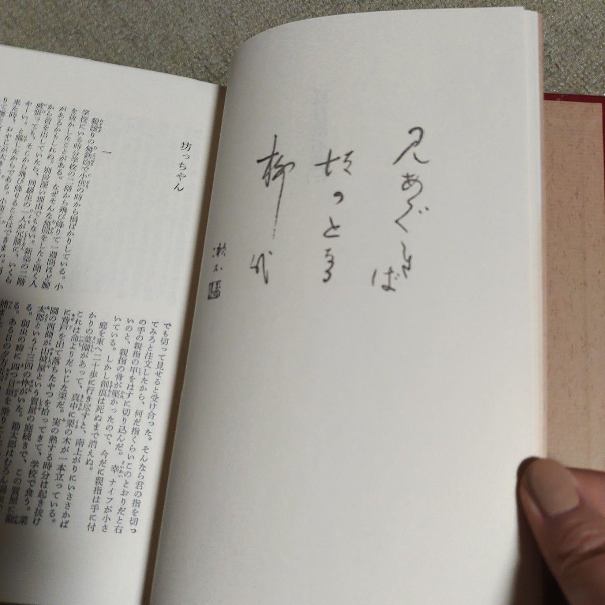 日本文学全集　夏目漱石　武者小路実篤　文学　小説　昭和レトロ