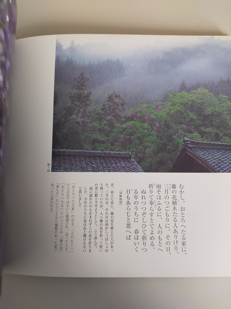 雨色の京都　雨などの降りてつれづれなる日　ＳＵＩＫＯ　ＢＯＯＫＳ／水野克比古　光村推古書院【即決】_画像4