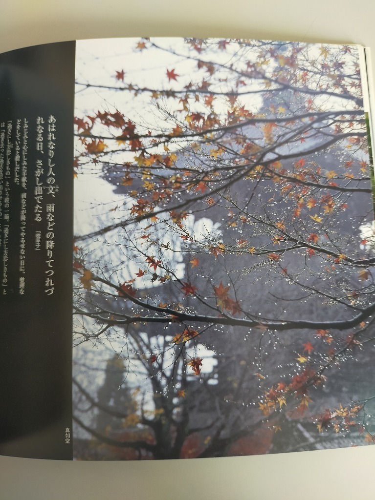 雨色の京都　雨などの降りてつれづれなる日　ＳＵＩＫＯ　ＢＯＯＫＳ／水野克比古　光村推古書院【即決】_画像2