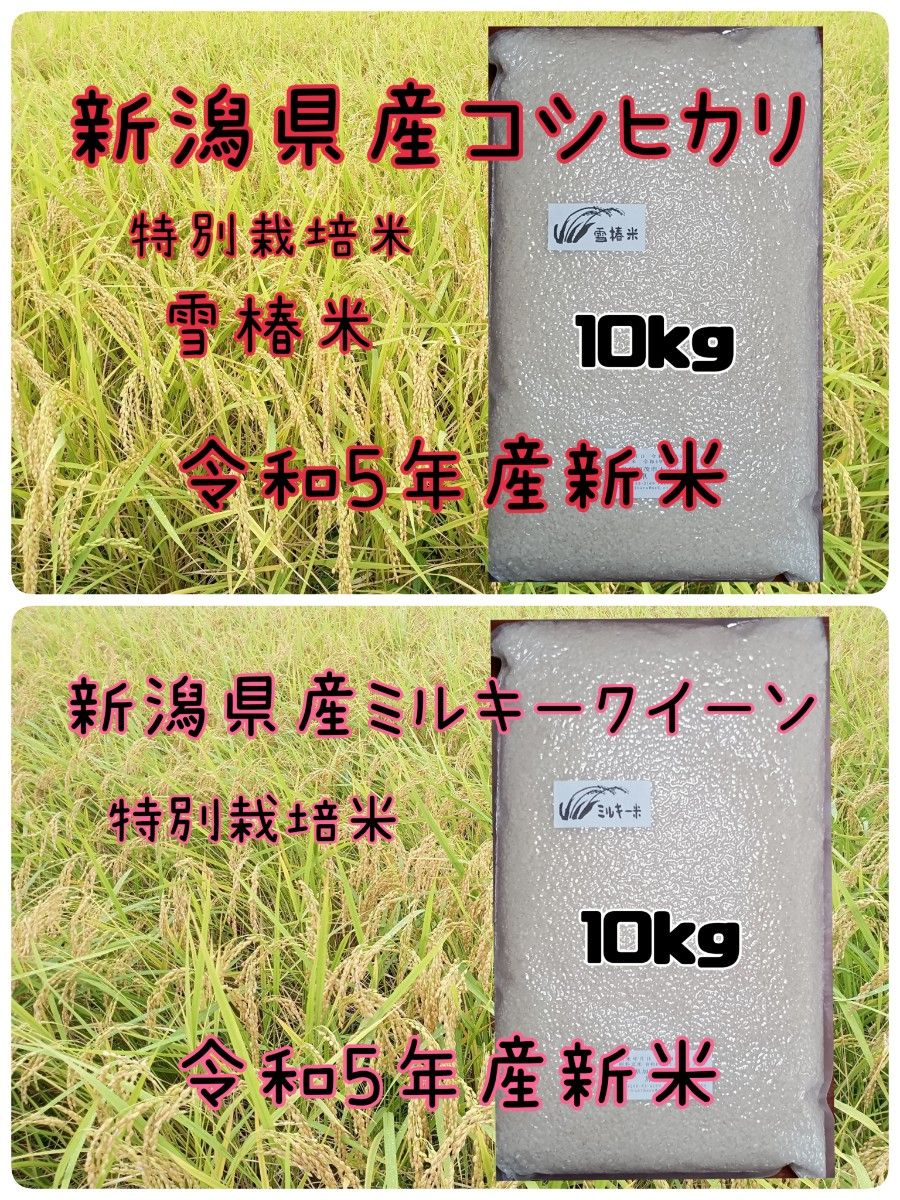 新潟県産コシヒカリ10kとミルキークイーン10k、食べ比べセット20k