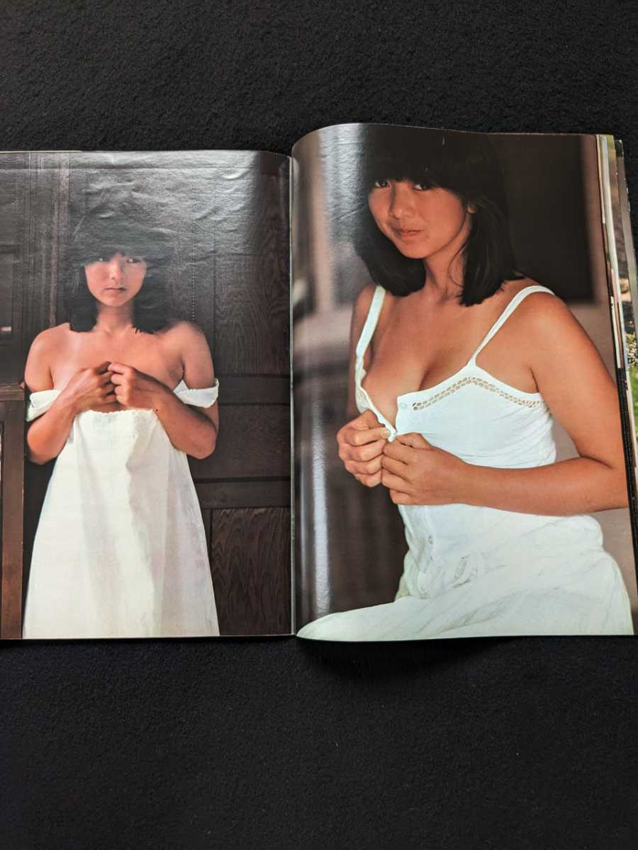 別冊BIG GORO 激写 篠山紀信 写真集 宮崎美子 吉田美鈴 ポスター 山口百恵 石野真子 榊原郁恵 藤谷美和子 高見知佳 岩崎良美 - 複数被写体 別冊BIG GORO 激写 篠山紀信 写真集 宮崎美子 吉田美鈴 ポスター 山口百恵 石野真子 榊原郁恵 藤谷美和子 高見知佳 岩崎良美 - 複数被写体
