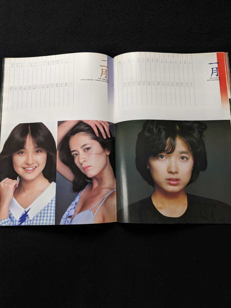 別冊BIG GORO 激写 篠山紀信 写真集 宮崎美子 吉田美鈴 ポスター 別冊BIG GORO 激写 篠山紀信 写真集 宮崎美子 吉田美鈴 ポスター