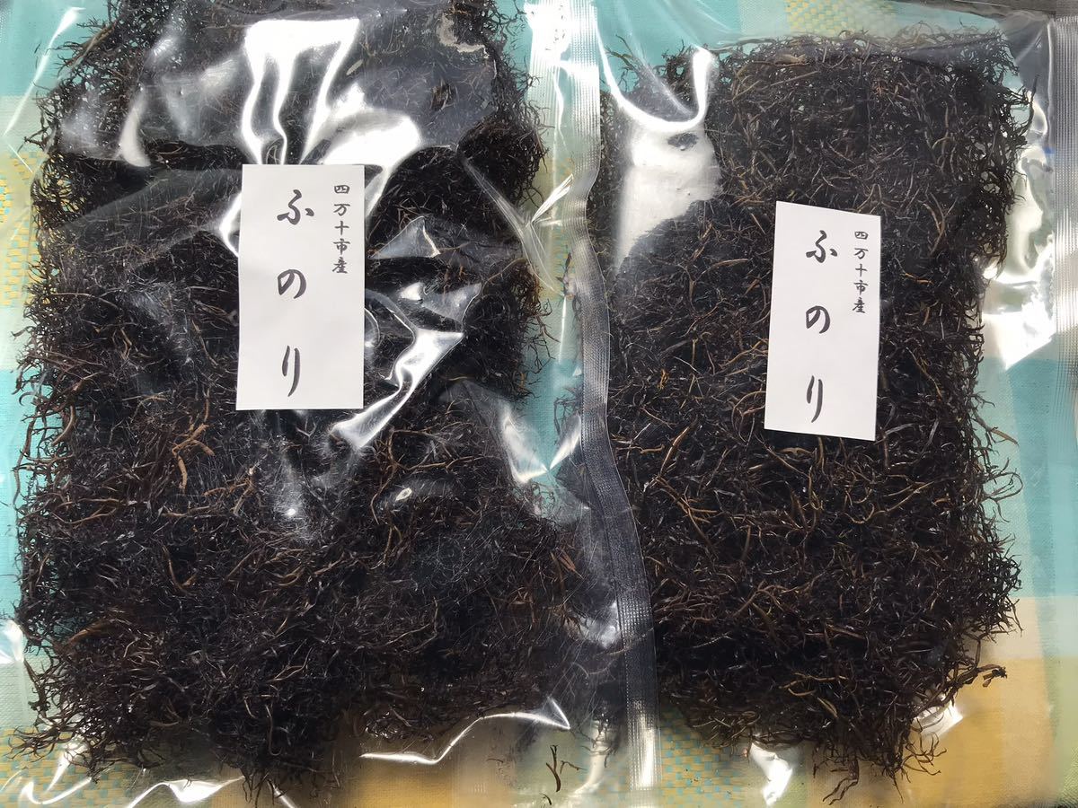 生産者直送！乾燥ふのり！（乾燥50g×2）_画像1