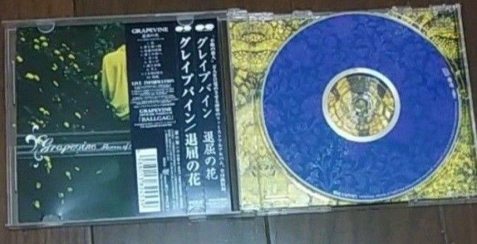 退屈の花　GRAPEVINE　グレイプバイン　アルバム　CD