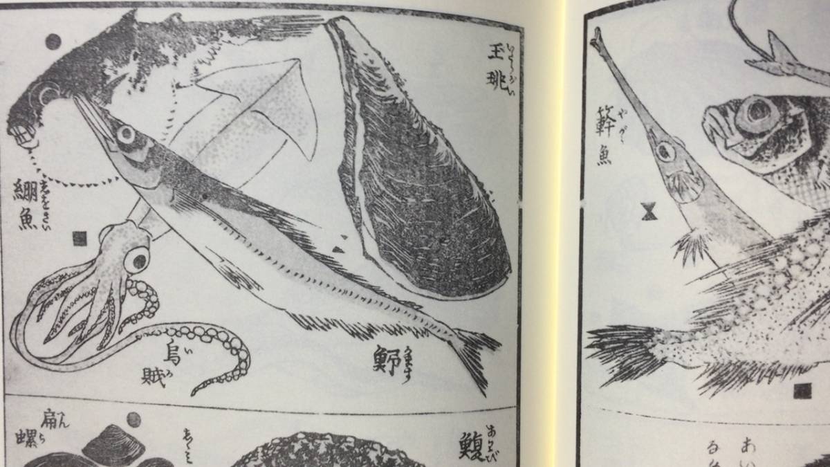 『北斎の絵手本 全5巻セット』●永田生慈/監修解説●岩崎美術社●葛飾北斎●検)指南書/漫画/資料/画集/作品集/浮世/一筆画譜/絵本武蔵鐙_画像6