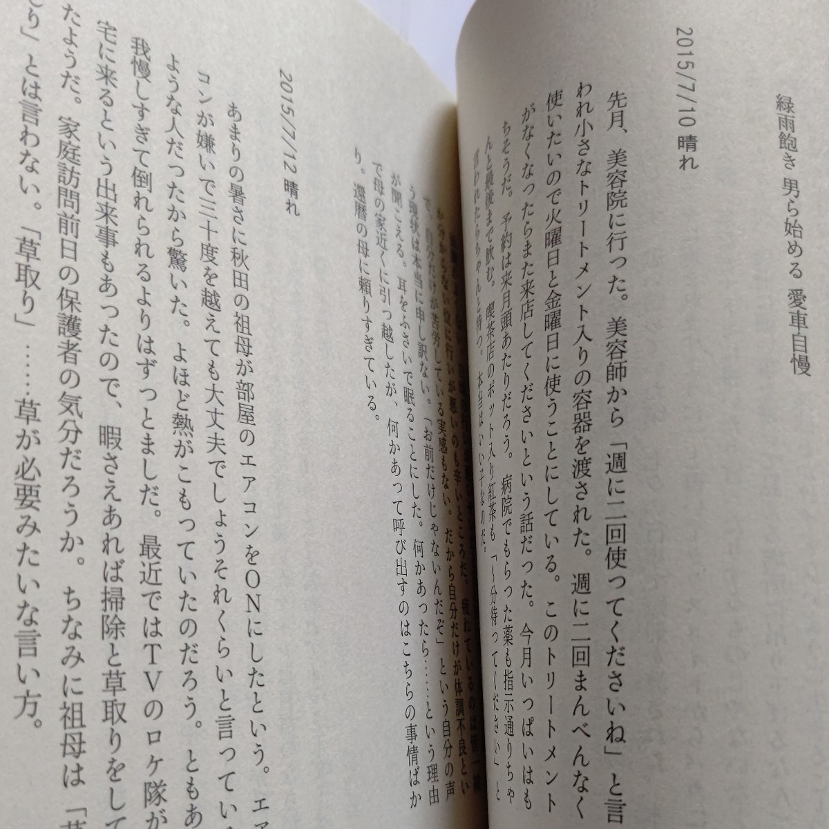 美品 壇蜜日記２「想像に任せるなんてイケてる芸能人みたいな事は言わないでおく 抱かれた」醒めた壇蜜 時々表れる一行日記 最も面白い壇蜜