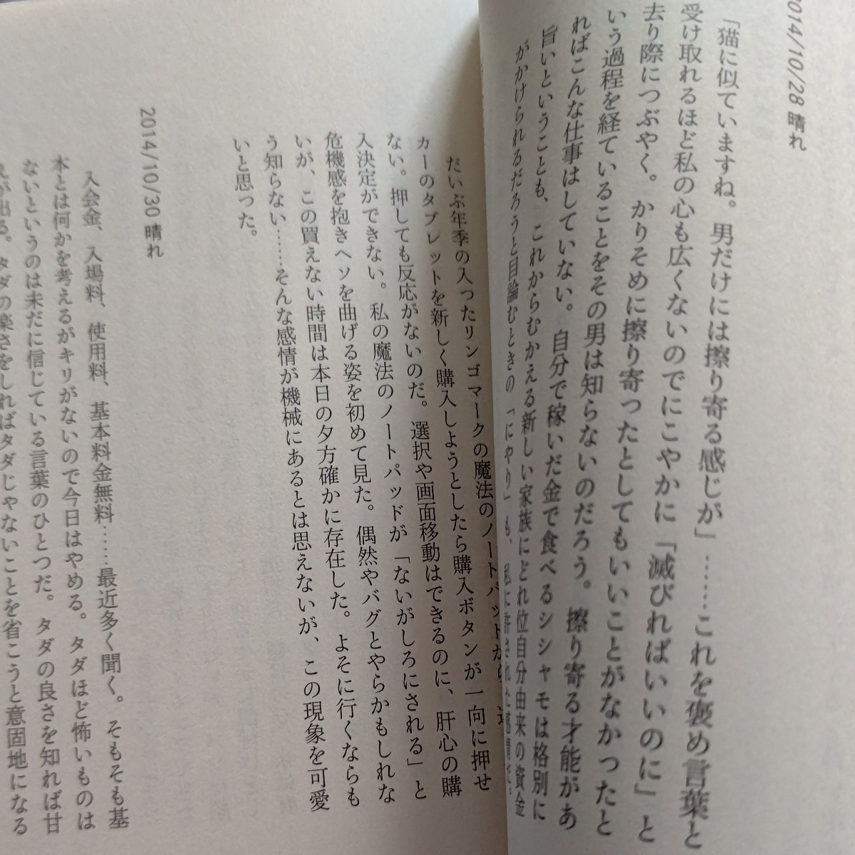 美品 壇蜜日記２「想像に任せるなんてイケてる芸能人みたいな事は言わないでおく 抱かれた」醒めた壇蜜 時々表れる一行日記 最も面白い壇蜜