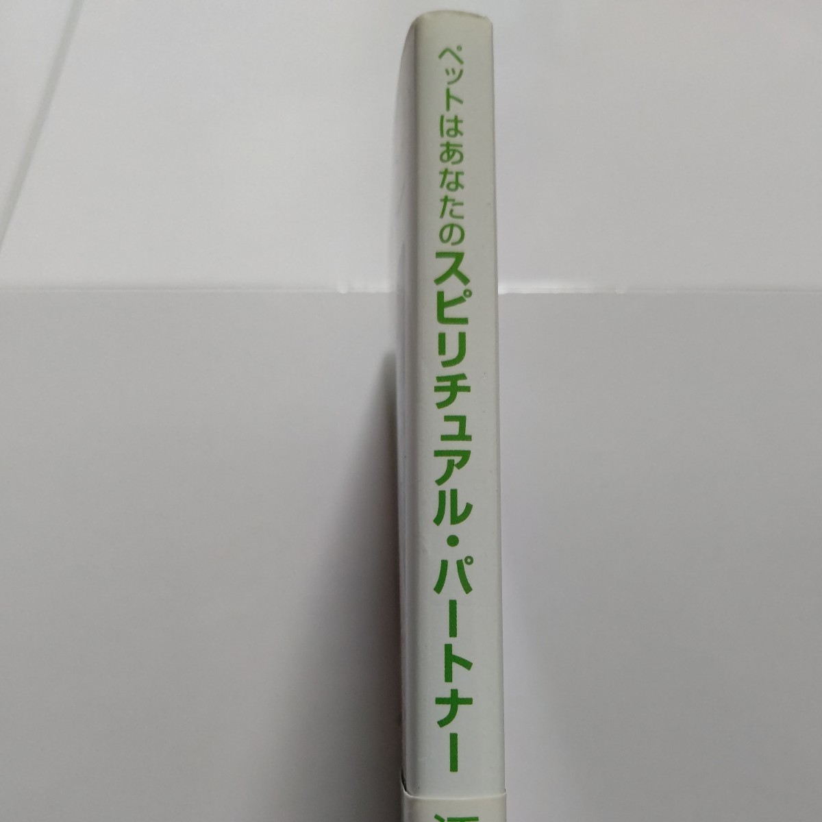 美品 ペットはあなたのスピリチュアルパートナー 江原啓之 動物霊 供養 葬儀 運命の出会いから幸せな別れまで。あなたとペットの永遠の絆