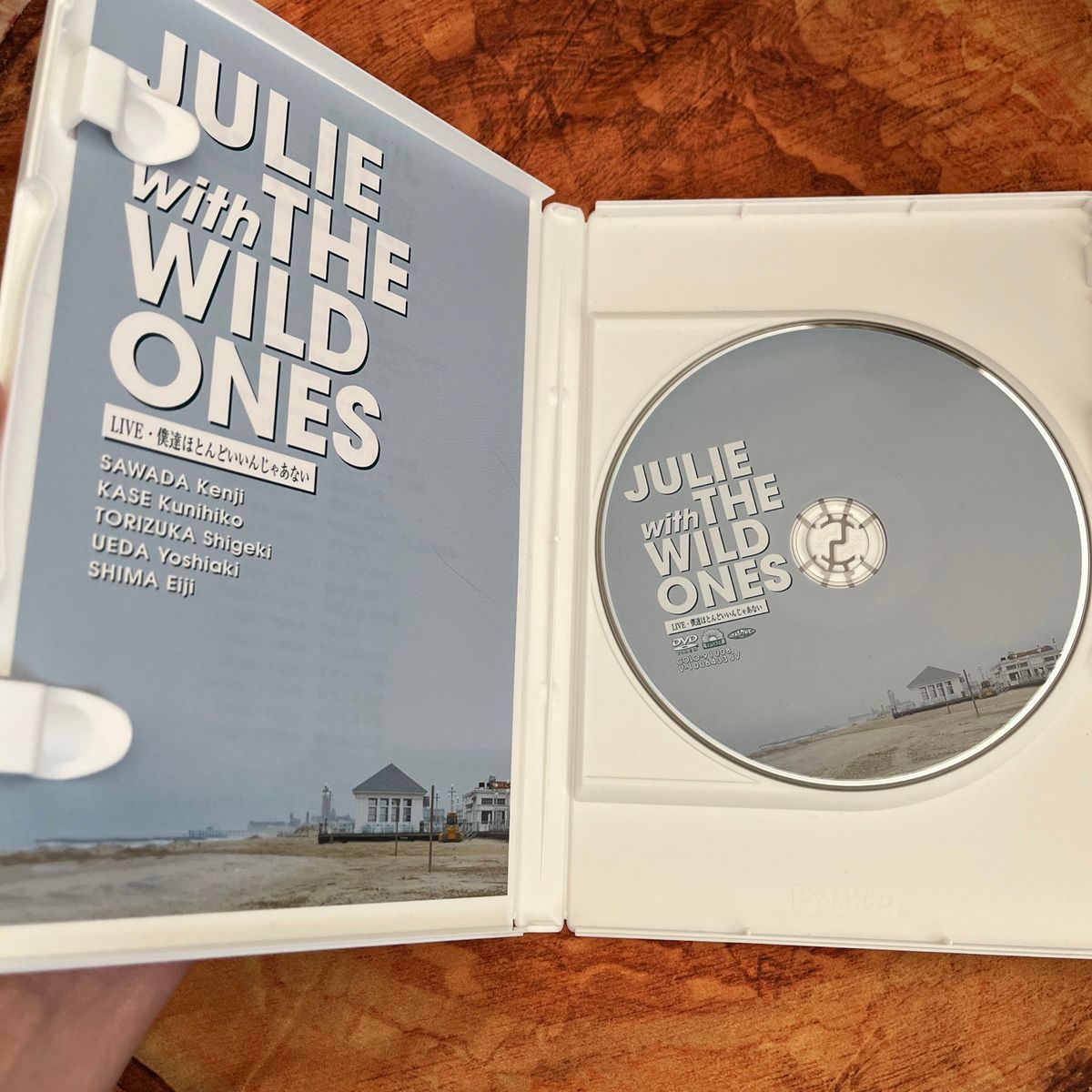 JULIE with THE WILD ONES LIVE 僕達ほとんどいいんじゃあない DVD