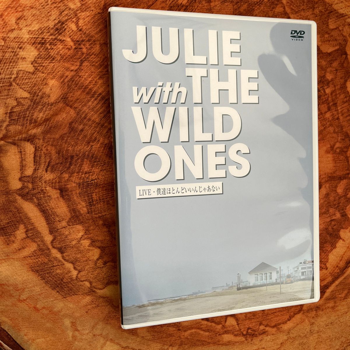 JULIE with THE WILD ONES LIVE 僕達ほとんどいいんじゃあない DVD