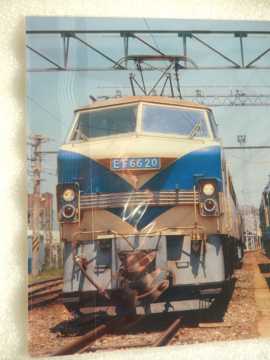 JR 貨物 《 EF66形 27号 電気機関車 車両 メイキャップ クリアファイル 》☆★☆★☆★☆★☆★☆★☆★☆★☆★ 鉄道 グッズ 電車 ニーナ_画像6