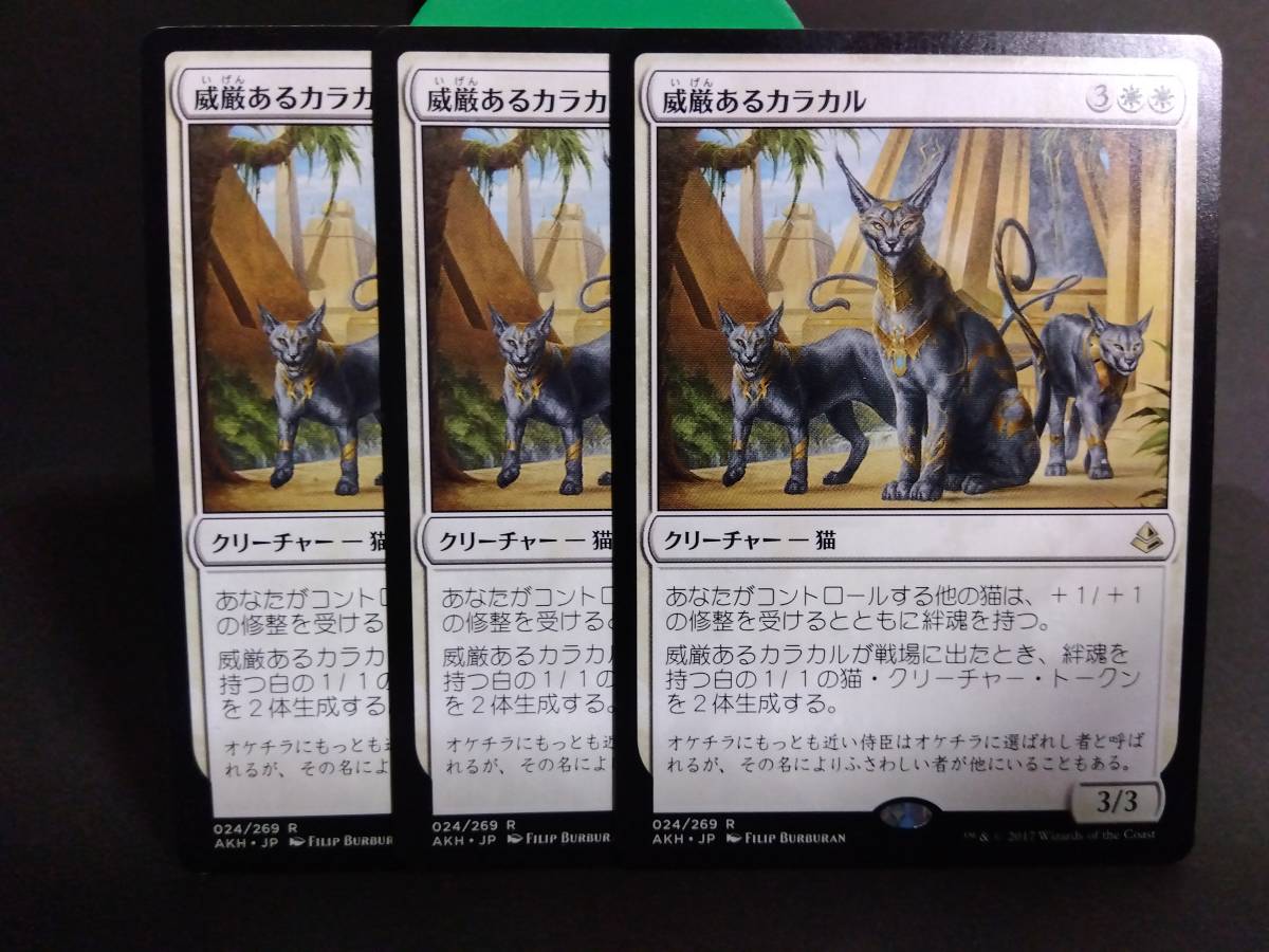 即決　 3枚セット　威厳あるカラカル　白　MTG　マジック：ザ・ギャザリング　レア　まとめて取引歓迎です_画像1