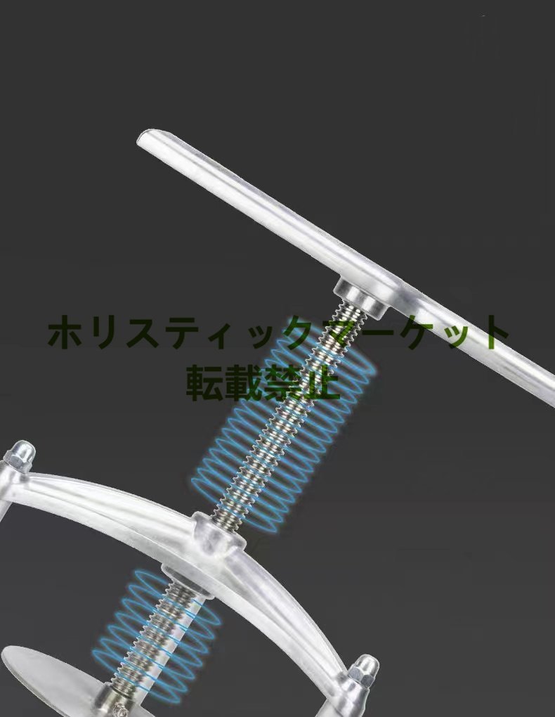 人気推薦 3L操作フルーツパルプ化機ブドウ圧搾機ワインプレス機 人気推薦 3L操作フルーツパルプ化機ブドウ圧搾機ワインプレス機