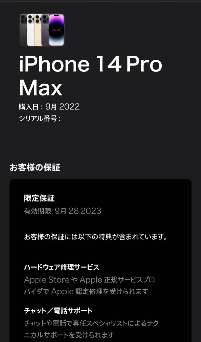 最終値下げ iPhone 14 Pro Max スペースブラック 256 GB SIMフリー