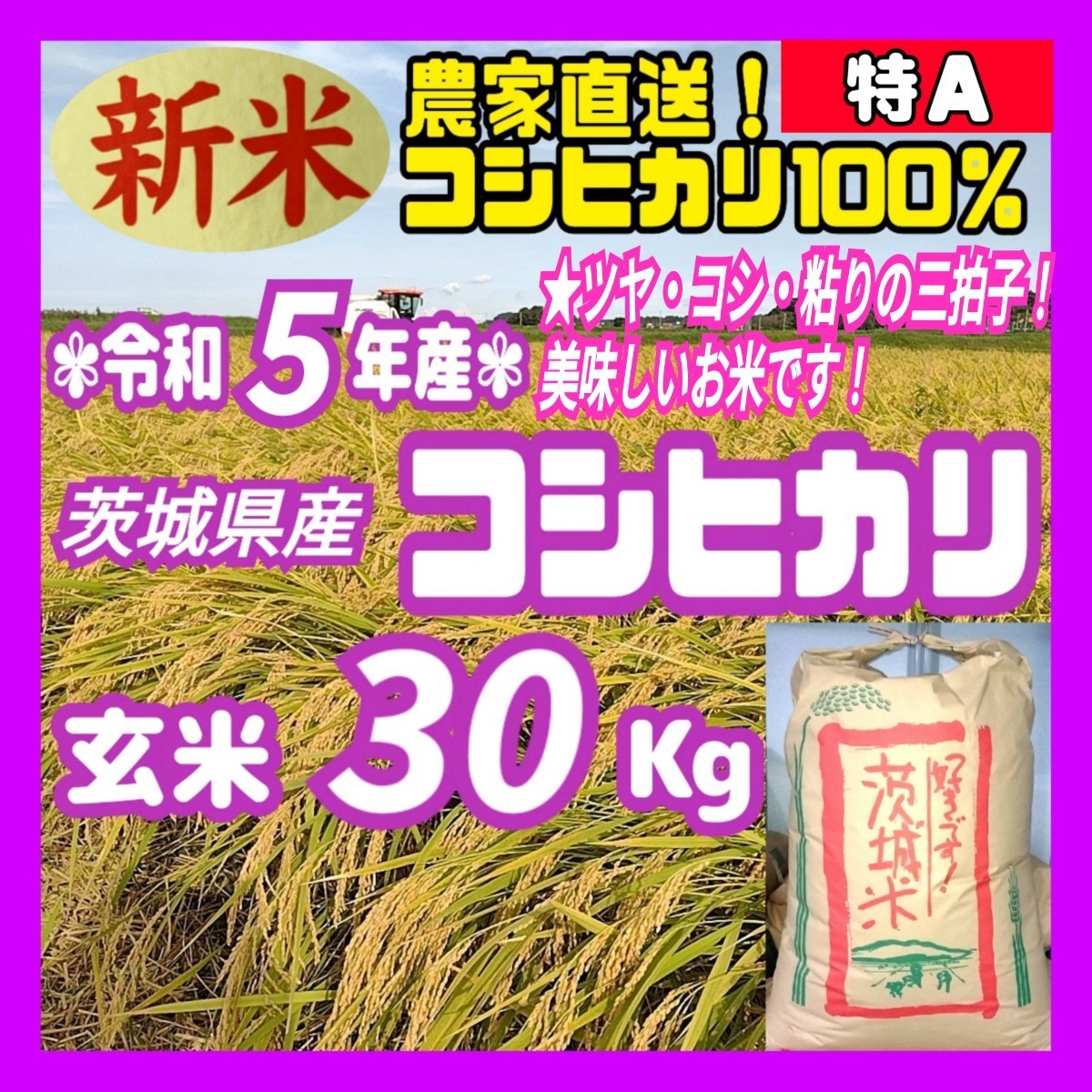 令和5年茨城県産特A 新米コシヒカリ玄米30Kg 30キロお米うるち米白米精