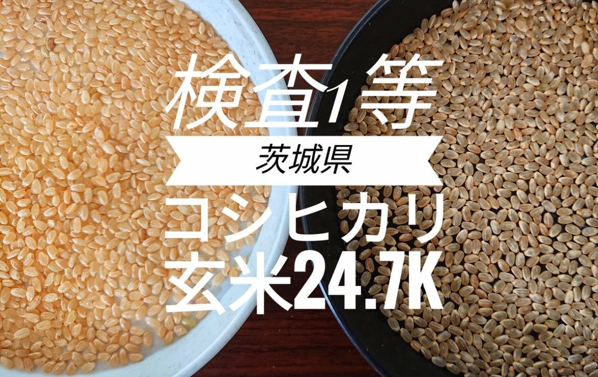 新米】茨城県産コシヒカリ玄米25キロ（内容量24 7キロ）小分け不可-