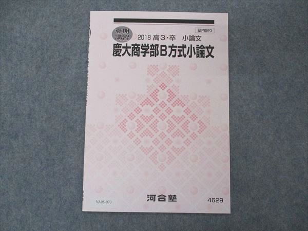 VA05-070 河合塾 慶大商学部B方式小論文 テキスト 未使用 2018 夏期講習 02s0B_画像1