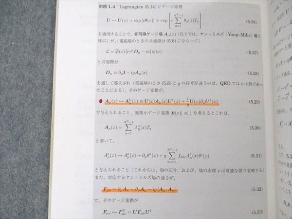 VA19-009 サイエンス社 演習 場の量子論 臨時別冊・数理科学 SGCライブラリ12 2001 柏太郎 10m4C_画像4