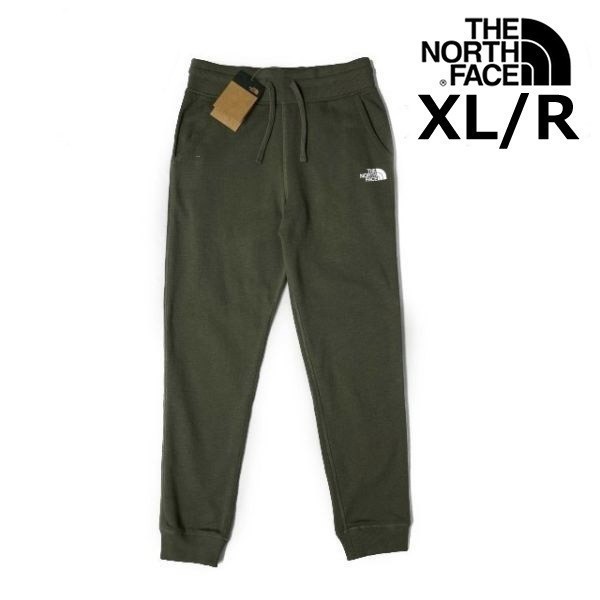 破格値下げ】 売切り【正規新品】THE 残① NORTH 190110-23 登山(XL