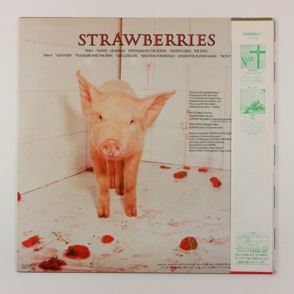 ◆LP◆帯付◆DAMNED/ダムド◆STRAWBERRYS/ストロベリーズ◆国内盤◆Bronze VIL-6014の画像2