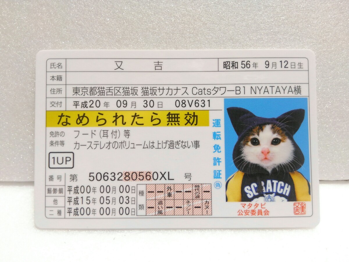 なめんなよ 猫 運転免許証 カード 又吉 - その他