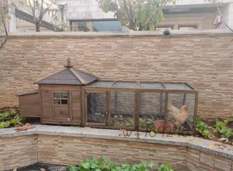  new goods unused chicken small shop outdoors garden for chicken basket toli small shop another . rabbit. nest pet accessories bird cage chicken shop a Hill bird cage pet 