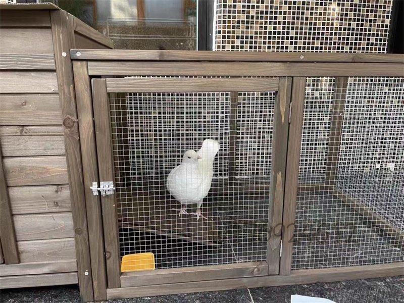  new goods unused chicken small shop outdoors garden for chicken basket toli small shop another . rabbit. nest pet accessories bird cage chicken shop a Hill bird cage pet 