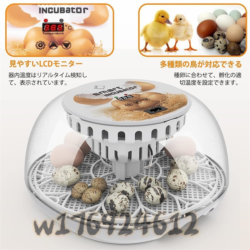  very popular * automatic . egg vessel in kyu Beta - birds exclusive use automatic rotation egg type a Hill goose ... chicken etc. house .. egg vessel 12 piece insertion egg possibility child education for home use 