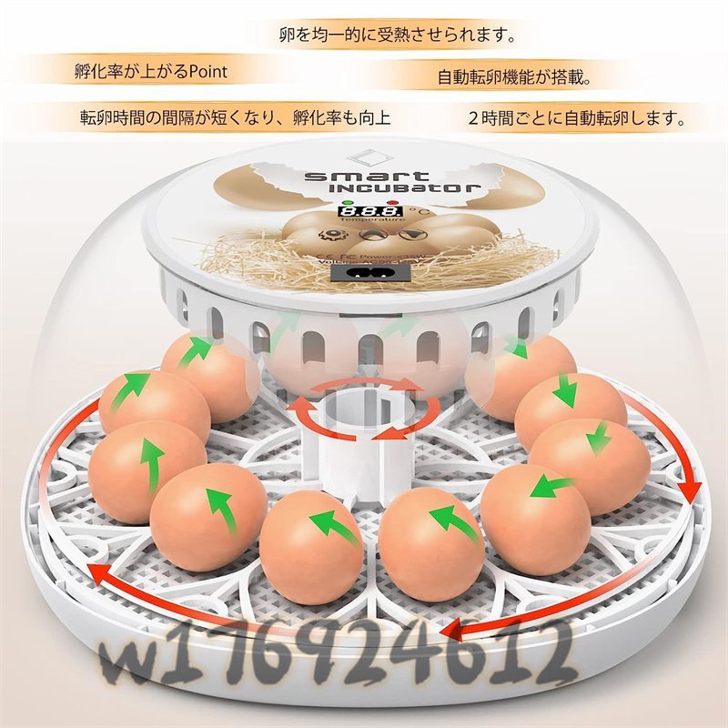  very popular * automatic . egg vessel in kyu Beta - birds exclusive use automatic rotation egg type a Hill goose ... chicken etc. house .. egg vessel 12 piece insertion egg possibility child education for home use 