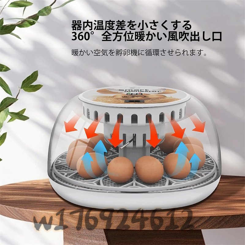  very popular * automatic . egg vessel in kyu Beta - birds exclusive use automatic rotation egg type a Hill goose ... chicken etc. house .. egg vessel 12 piece insertion egg possibility child education for home use 