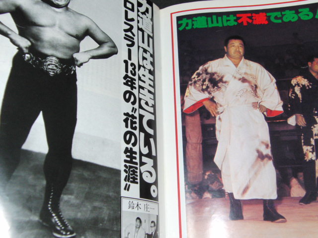 ｂ５■ プロレスアルバム⑥ 力道山光浩 ポスターなし昭和58年2刷_画像2