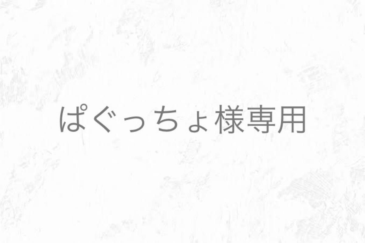 ぱぐっちょ様専用|PayPayフリマ