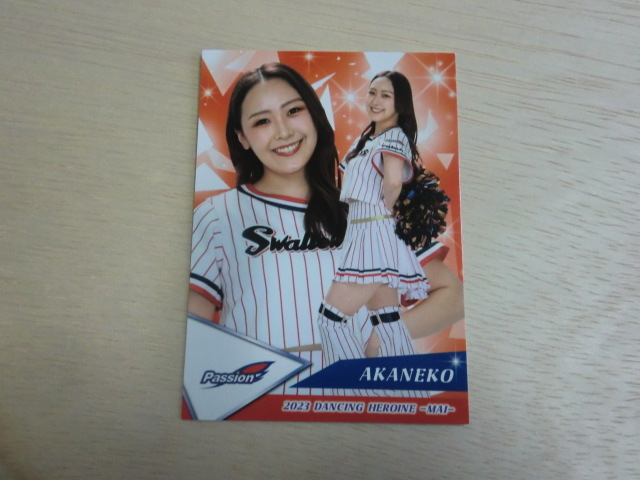BBM 2023 舞　No.54 AKANEKO　プロ野球チアリーダーカード　DANCING HEROINE_画像1