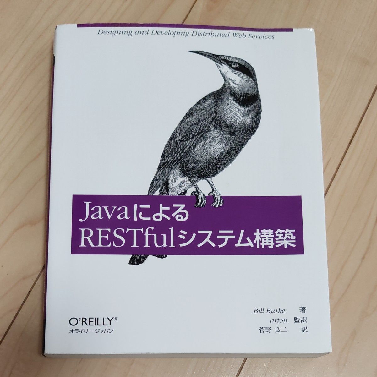 JavaによるRESTfulシステム構築