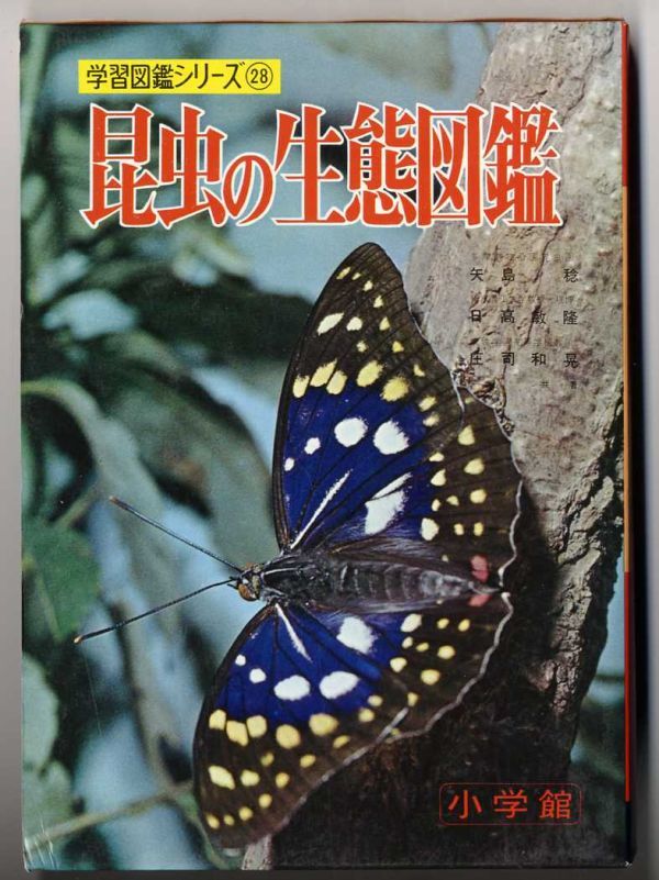 G12★「昆虫の生態図鑑」小学館の学習図鑑シリーズ 28　良好品　昭和のなつかしい図鑑_画像1