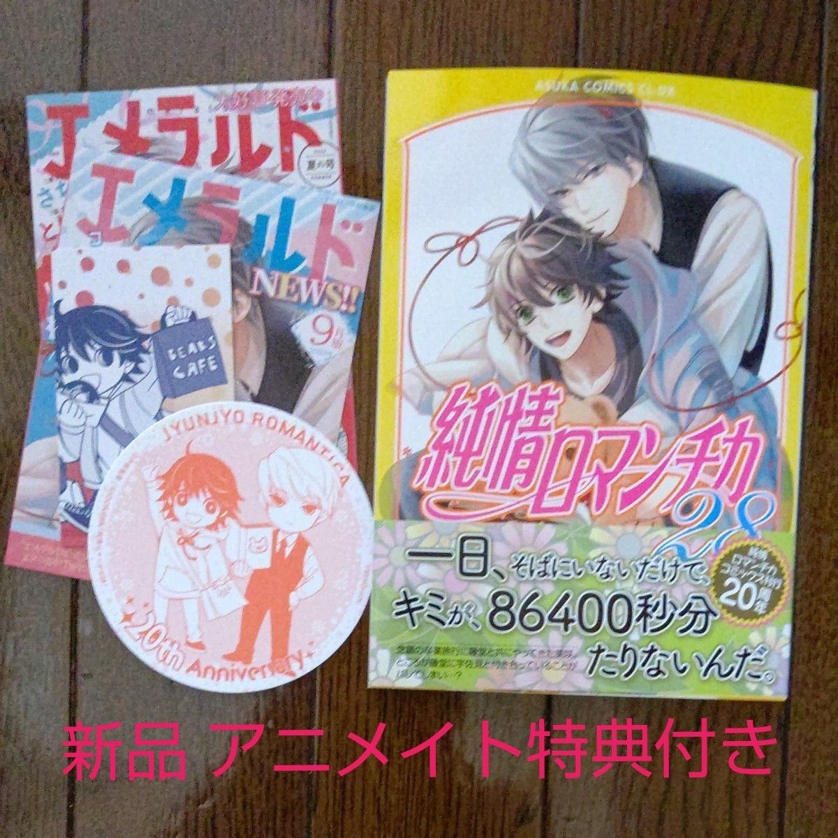 純情ロマンチカ 最新刊28 アニメイト特典おまけ付き