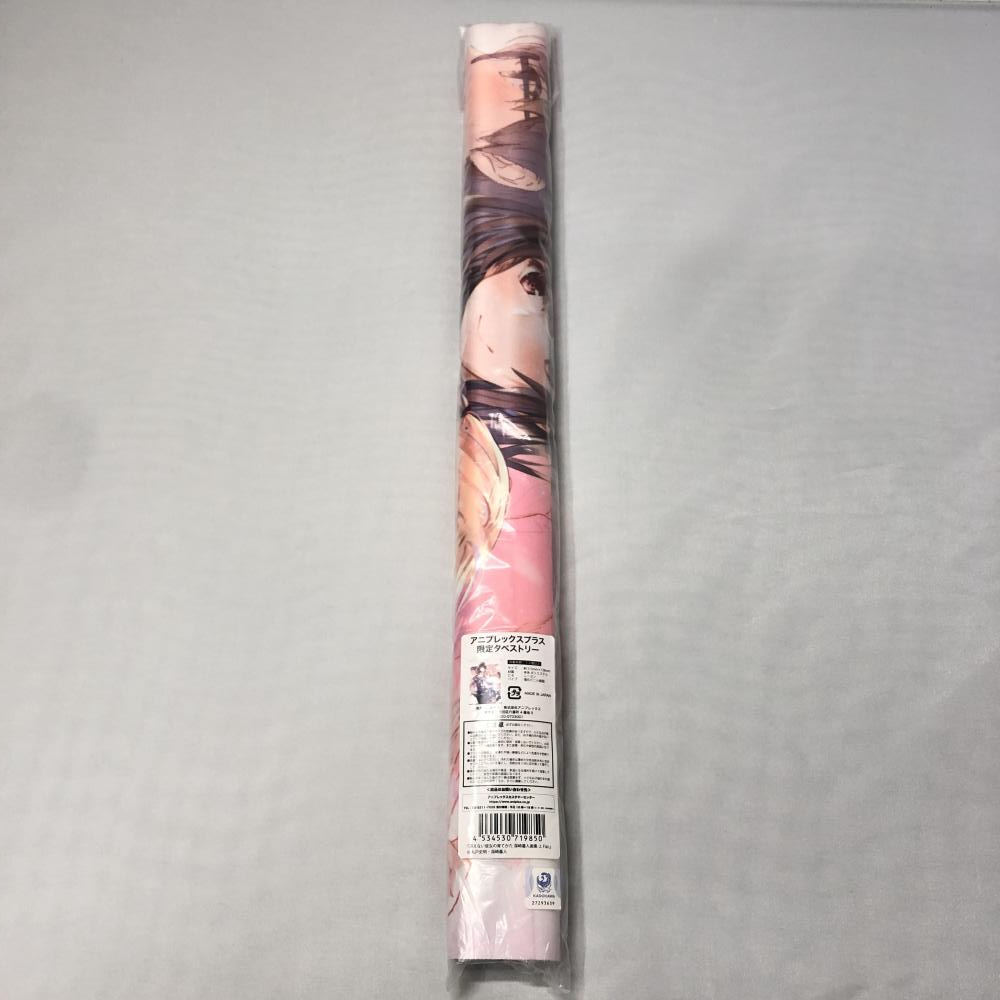 【中古】未開封 詩羽＆英梨々 B2タペストリー 冴えない彼女の育てかた 深崎暮人画集 上 Flat. アニプレックス購入特典[240015206833]_画像1